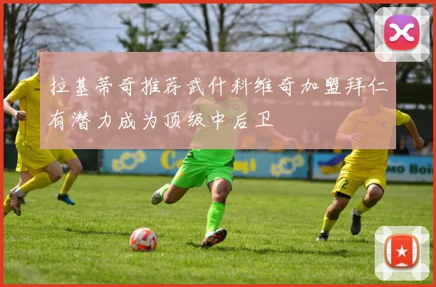 拉基蒂奇推荐武什科维奇加盟拜仁有潜力成为顶级中后卫