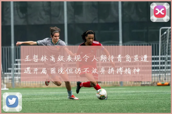 王哲林高效表现令人期待青岛虽遭遇开局困境但仍不放弃拼搏精神