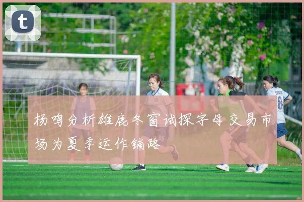 杨鸣分析雄鹿冬窗试探字母交易市场为夏季运作铺路