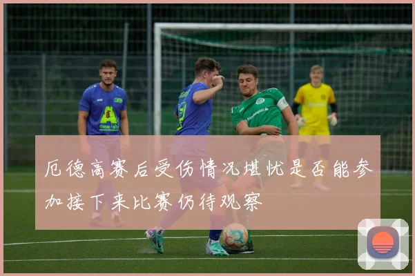 厄德高赛后受伤情况堪忧是否能参加接下来比赛仍待观察