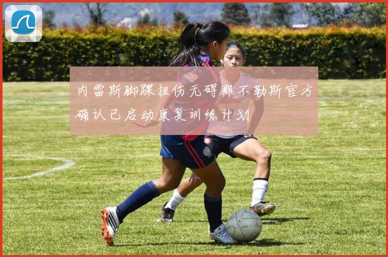 内雷斯脚踝扭伤无碍那不勒斯官方确认已启动康复训练计划