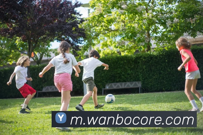 万博体育平台生态图